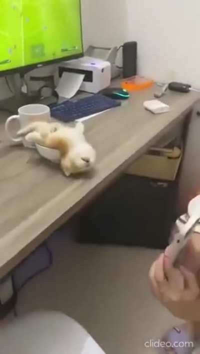 New C@ office worker crashed during first task