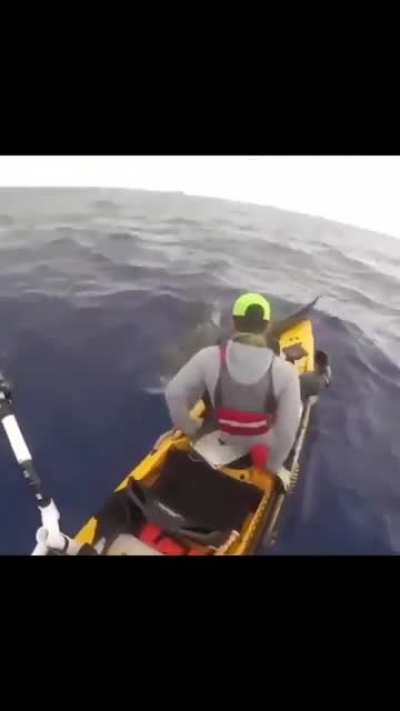 Close Call