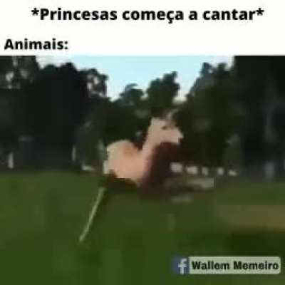 .....