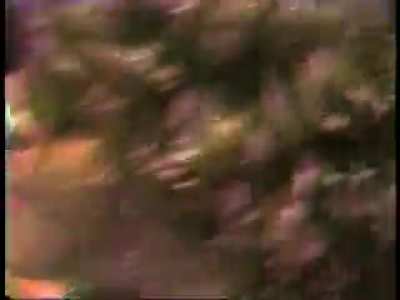 Archival footage