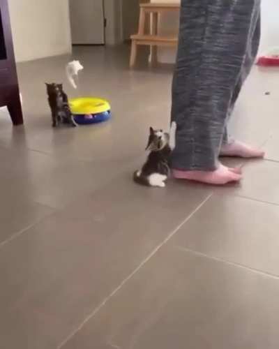 I won't let you go