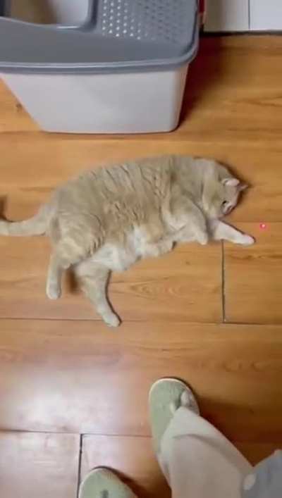 Lazy boy
