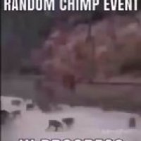 RANDOM CHIMP EVENT HAS BEGUN 🐵🦧⚠️