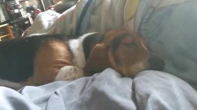 Sleepy boofs