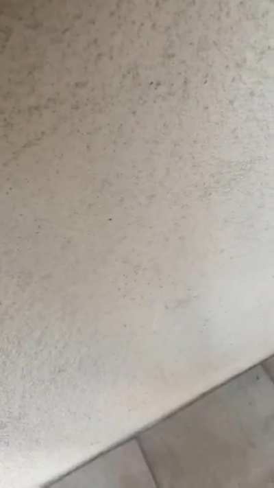Postmates driver encounters deranged woman