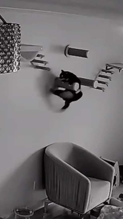 Hang in there!
