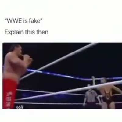 🐍🐍🐍
