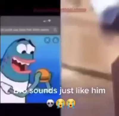 Fish
