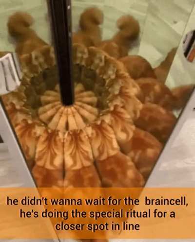 braincell ritual