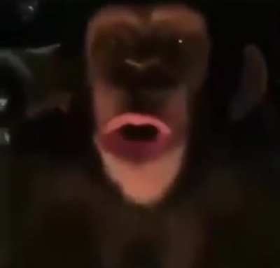 Who’s toes are those? (Fuck exotic pet owners btw)