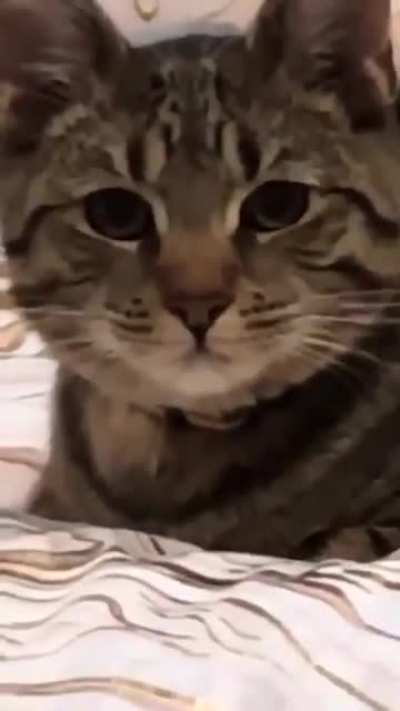 You want food?