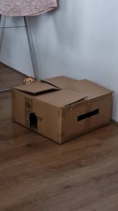 I upgraded their box