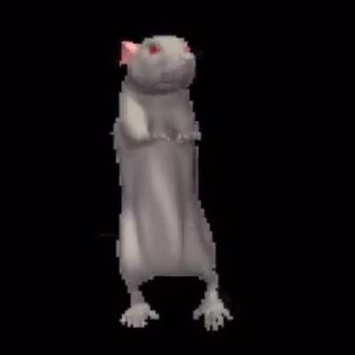 fascinating mouse-like creature sings for you