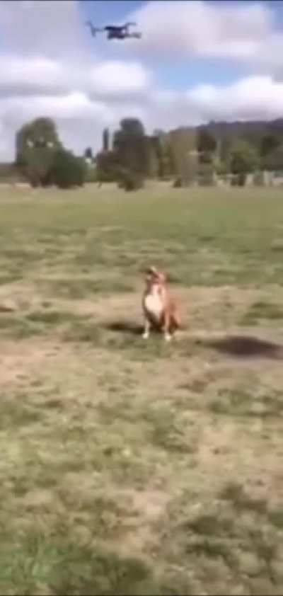 The jump tho