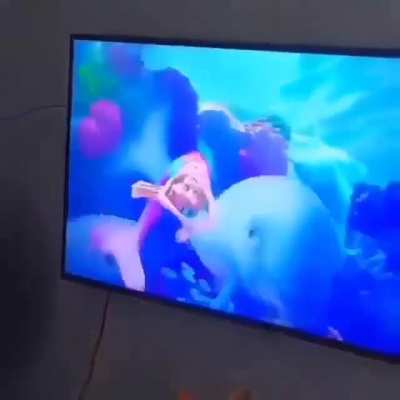 eu_nvr