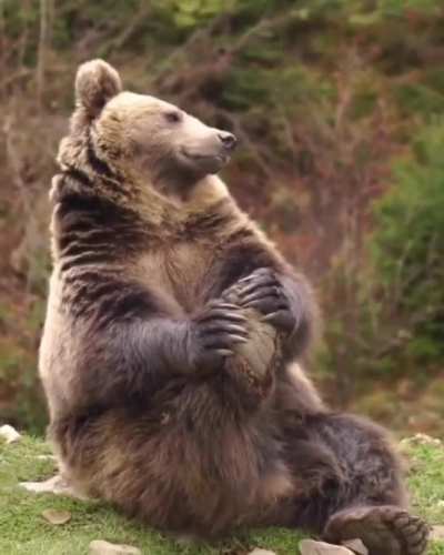 Morning stretch