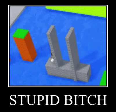 Stupid bitch
