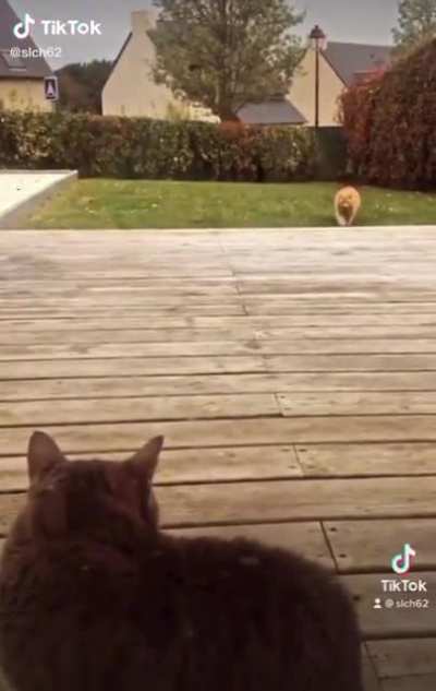 OPEN DA DOOR