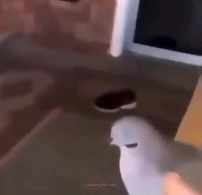 rule