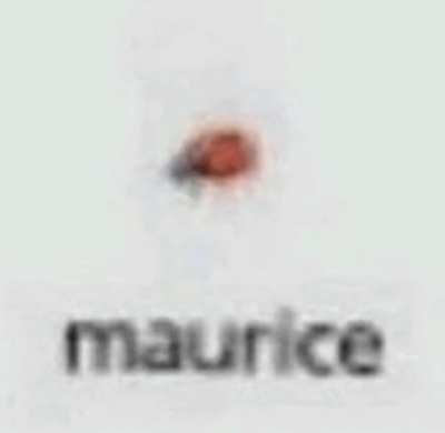 Say Hi To Maurice , He Smiles (•‿•)