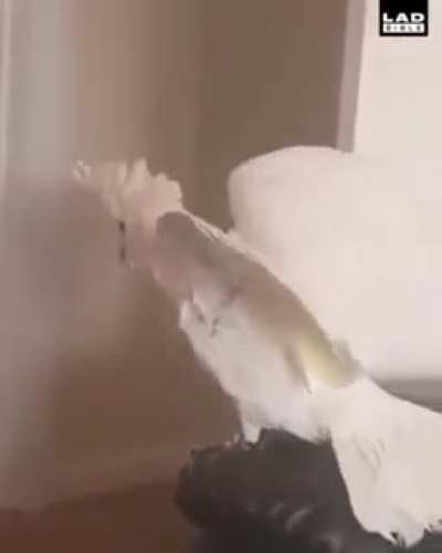 What the fuck!