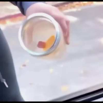 Mouse Attacj