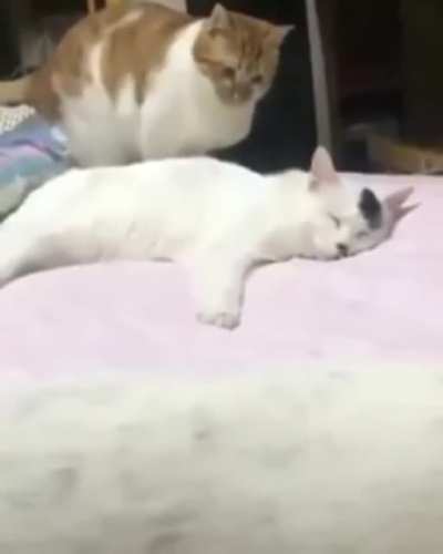 I got you now