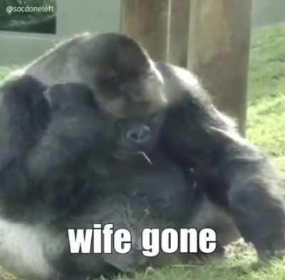 Monkey sad...