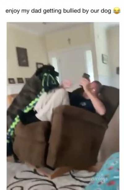 Doggo bullies dad