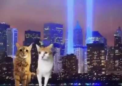 wunkus never forget