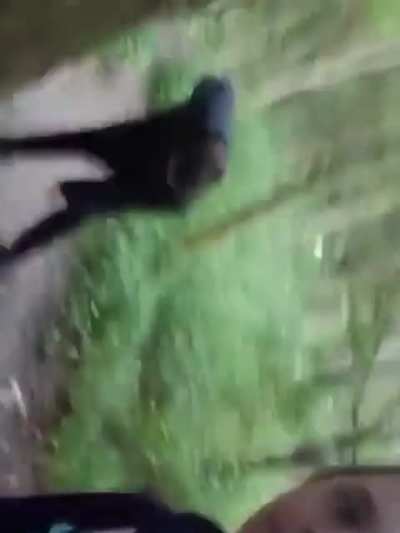 British people assaulting garden gnomes