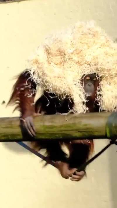 Good Wig