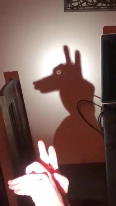 Get shadow puppet skills, b!