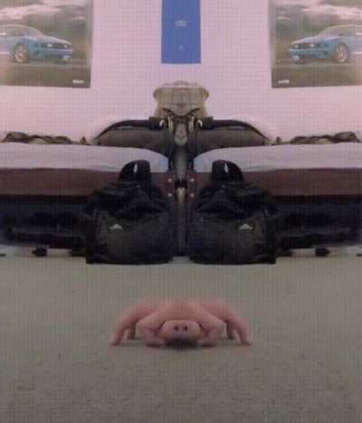 Крипота