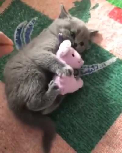 A bit overprotective