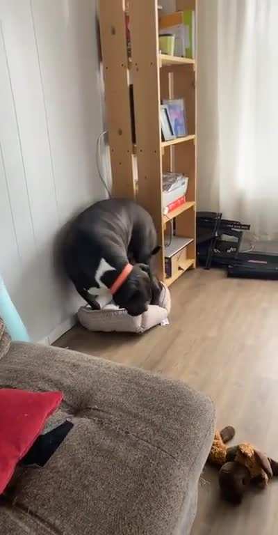 Wait until the end