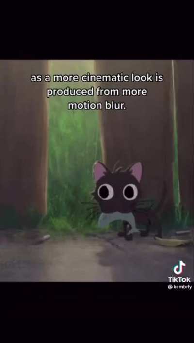 Furry_irl