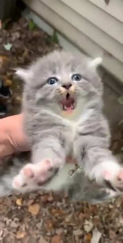 Thought this belonged here too