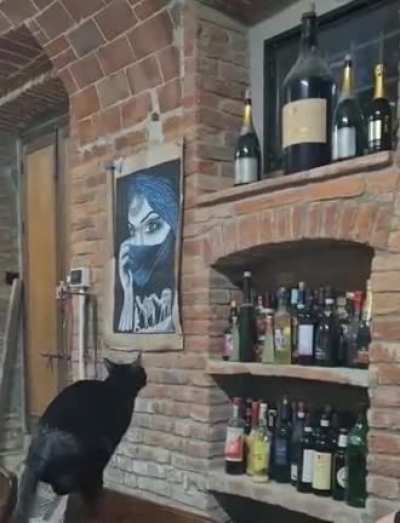 To jump