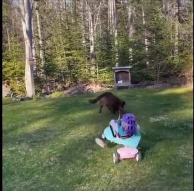 Fetch