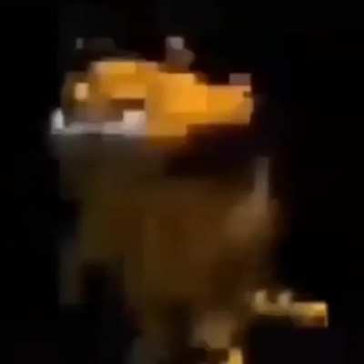 Xd