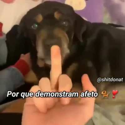 Ta difícil viver viu kkkk
