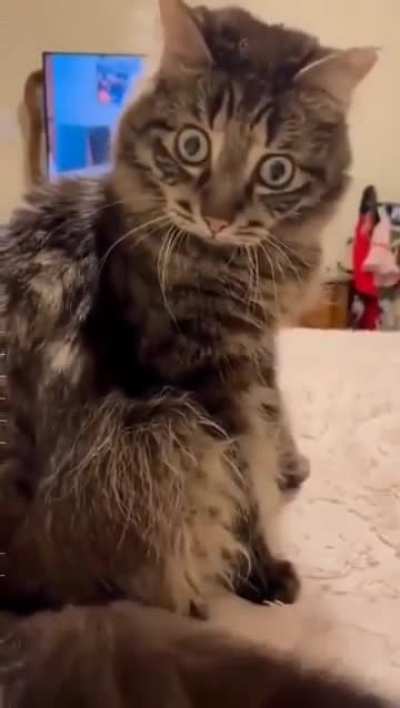 How dare you?!

