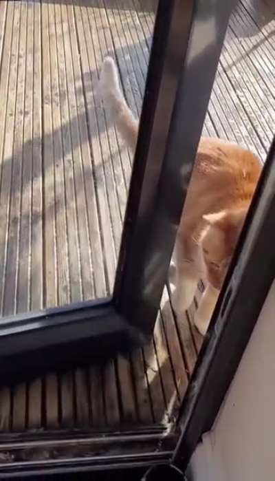 The acatemy award goes to...