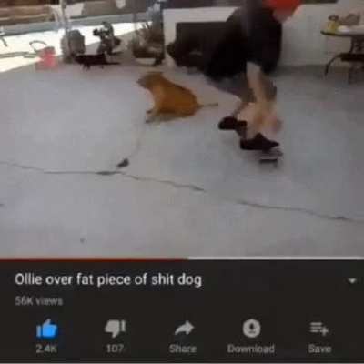ollie