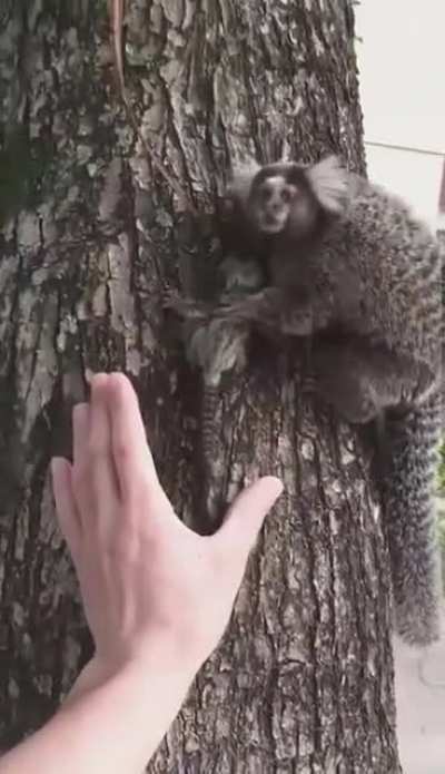 She did not see it coming from a human!