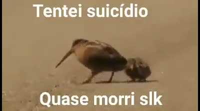 😎👌