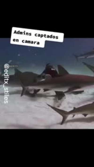 Qual é a musica