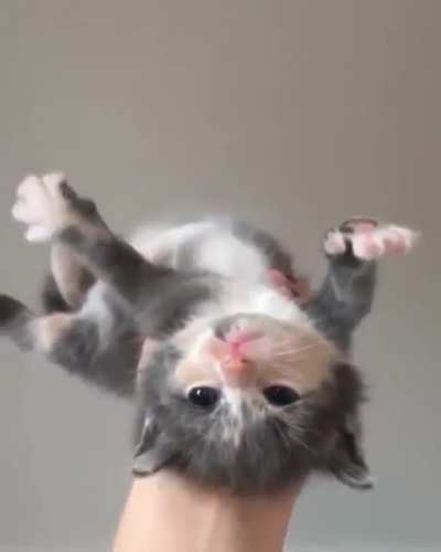 touch tha air