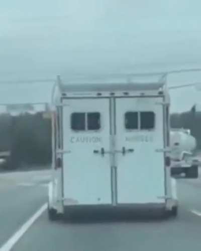Caution! Horses